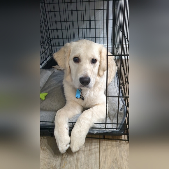 Like to be notified of live shows - Picture 2 of 6